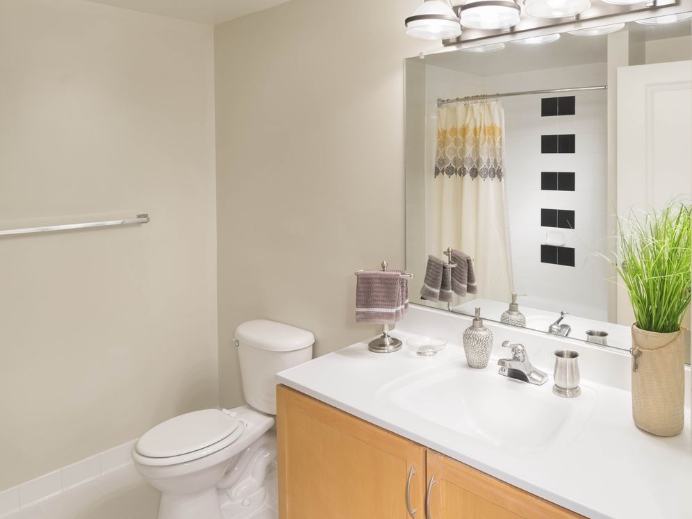 Kanso Silver Spring Image 9