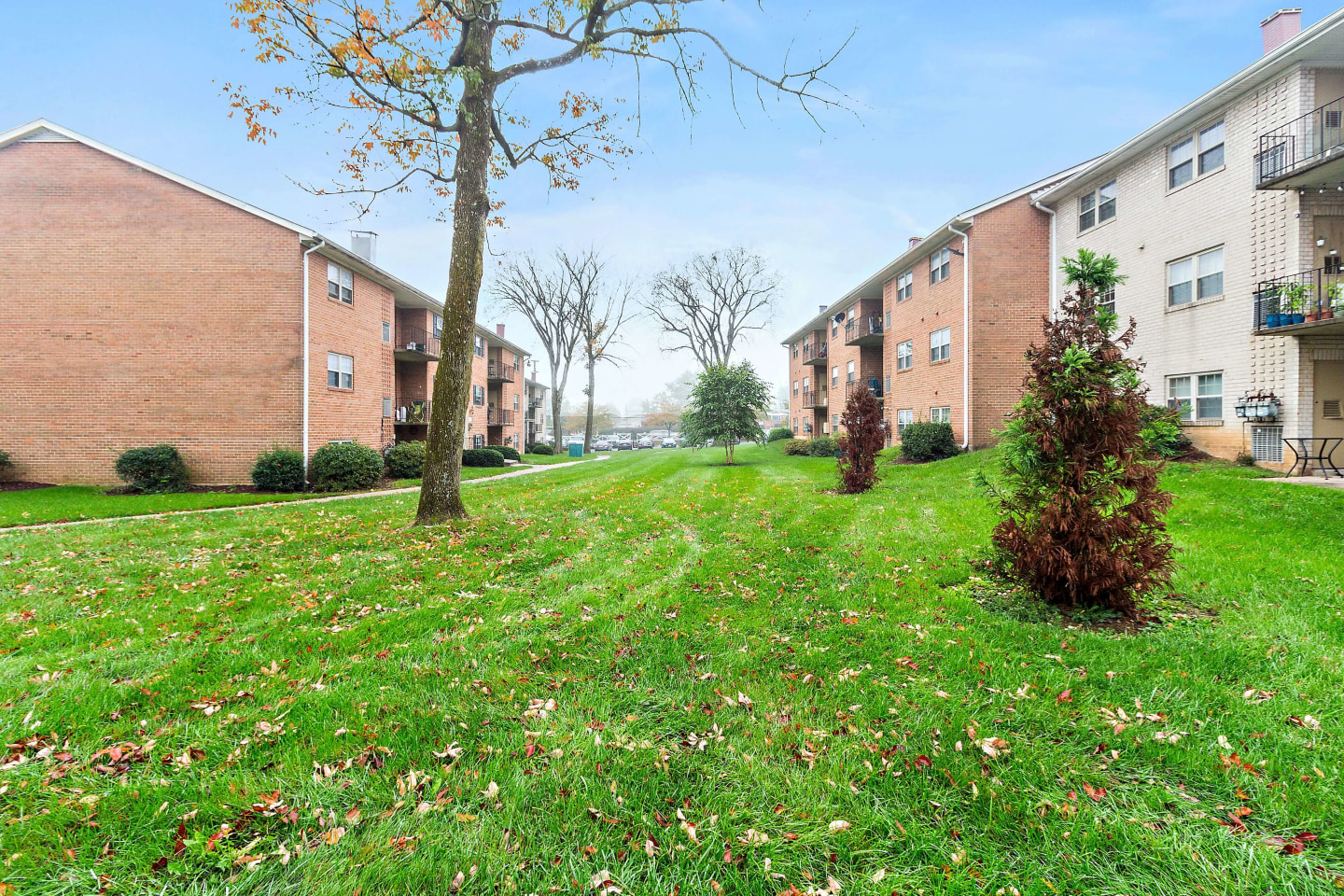 Dunhill North Apartments Image 19