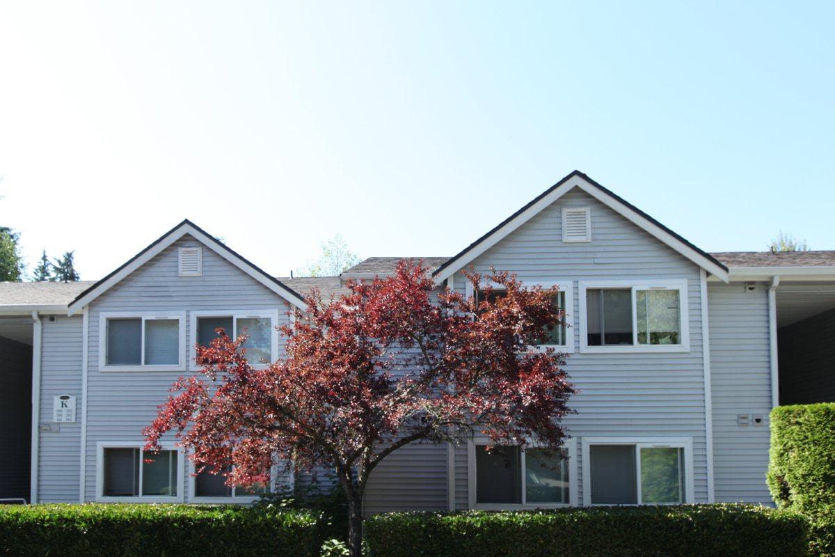 Forest Grove Image 26