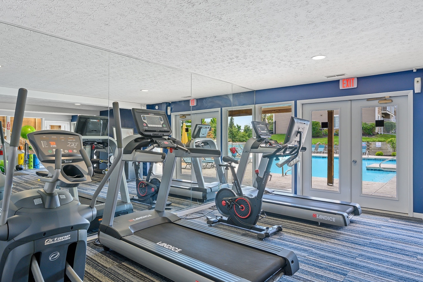 Enclave Image 60
