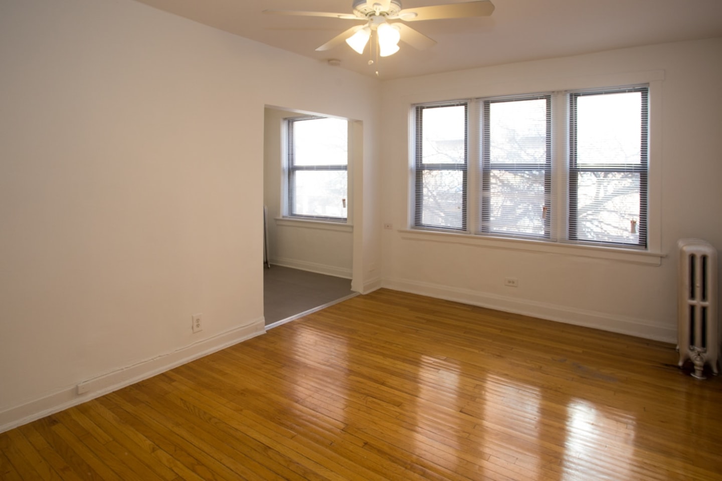 Ellis Court Image 14