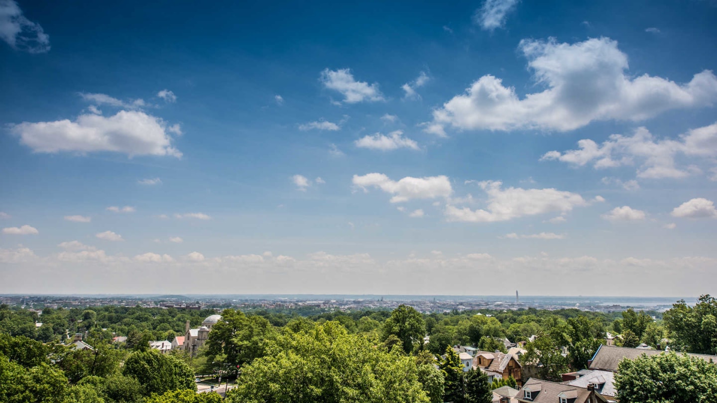 Alban Towers Image 19