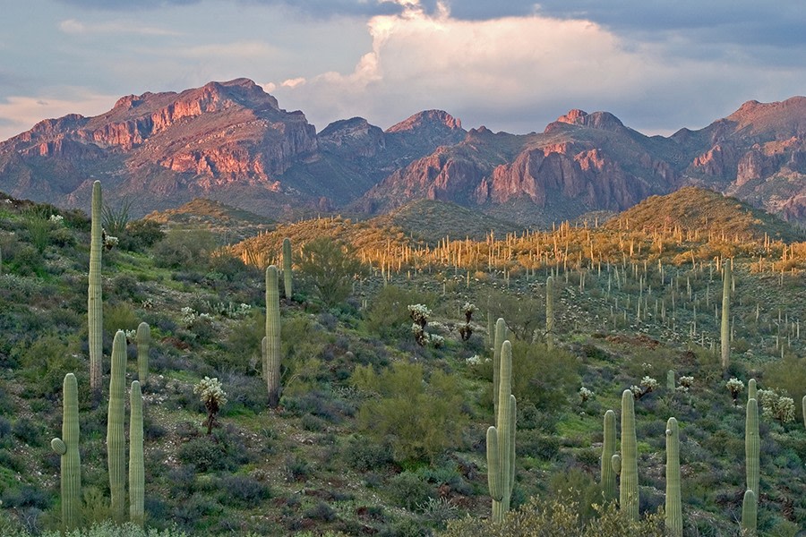 San Carlos Apartments Scottsdale Image 17