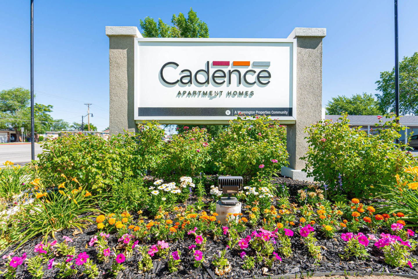 Cadence Image 17