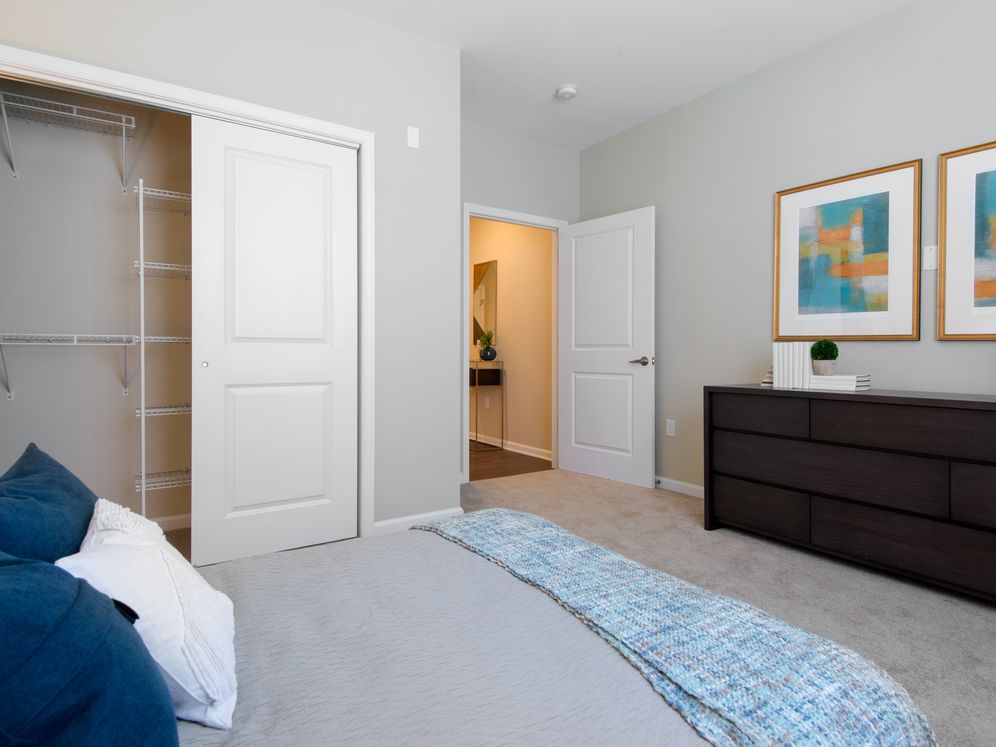 Avalon Somers Image 7