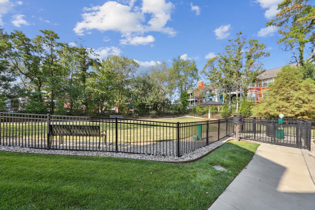 The Ivy Apartment Homes Image 17