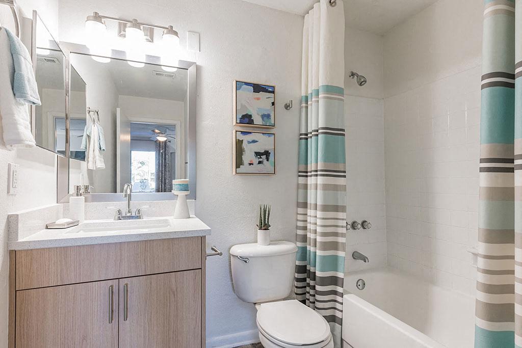 Pointe at Carrollwood Image 11