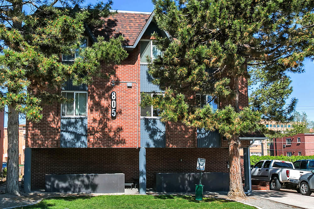 805 Dahlia Image 13