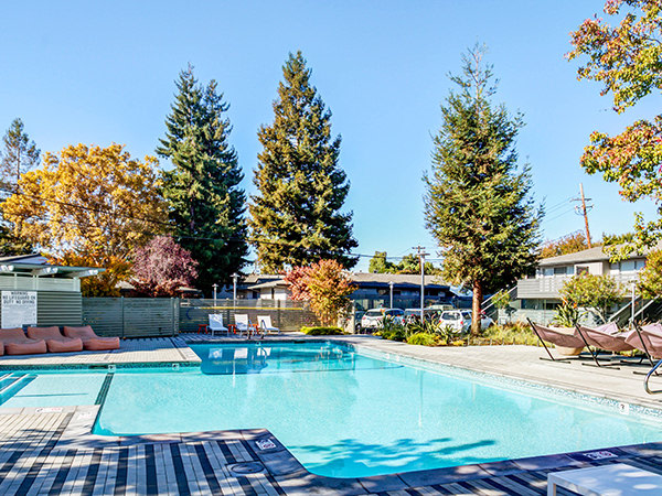 North Park Apartment Homes Image 1