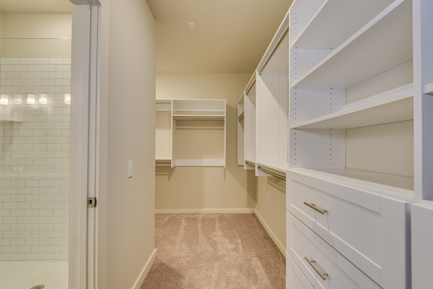 The Augustan Apartments Image 9