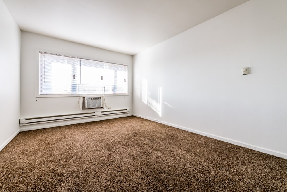 Pangea 2115 S 4th Street Apartments Image 3