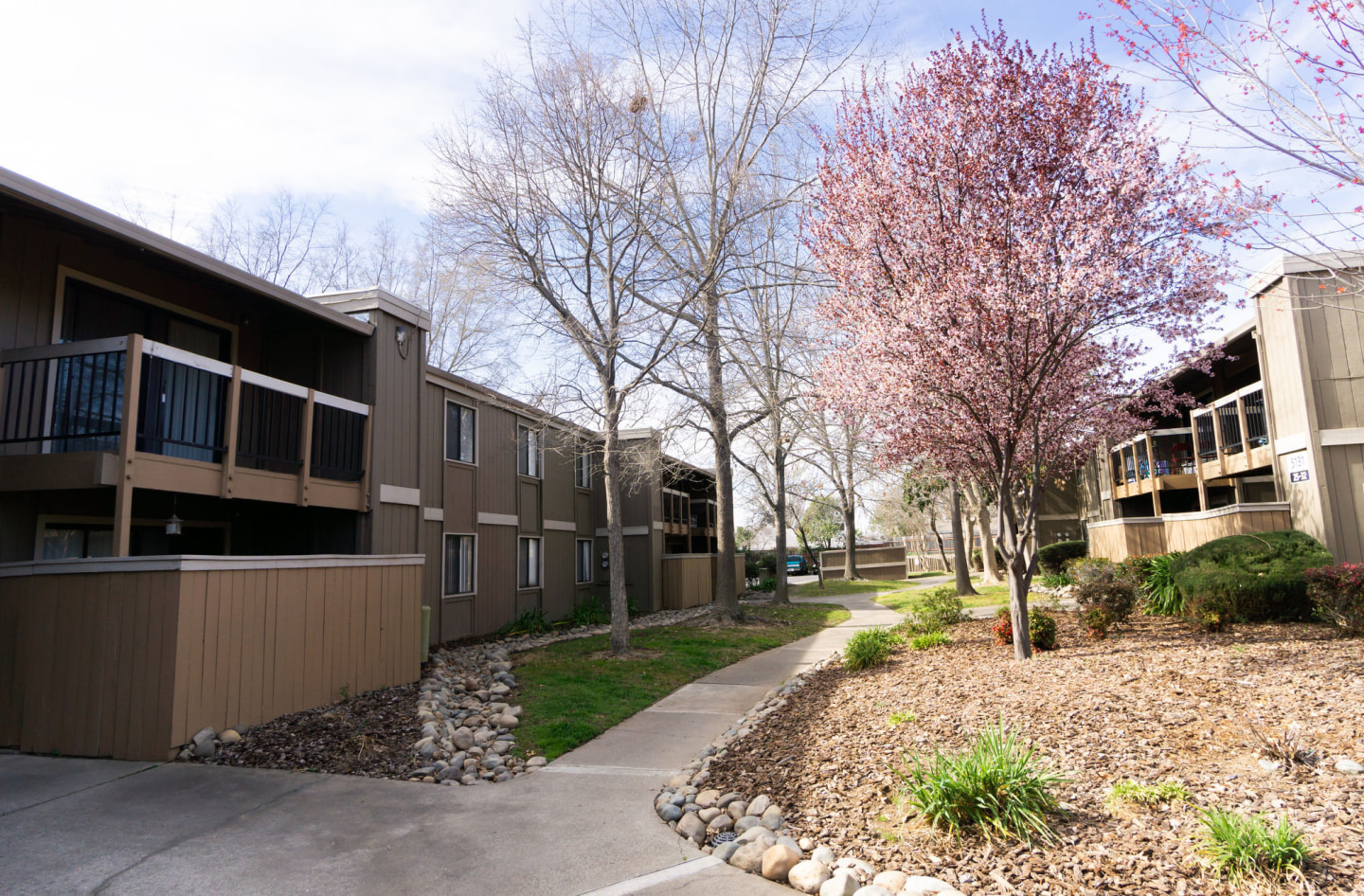 Fountain Grove Image 21