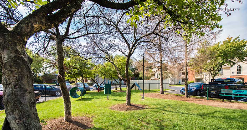 Martin's Point Apartment Homes Image 34