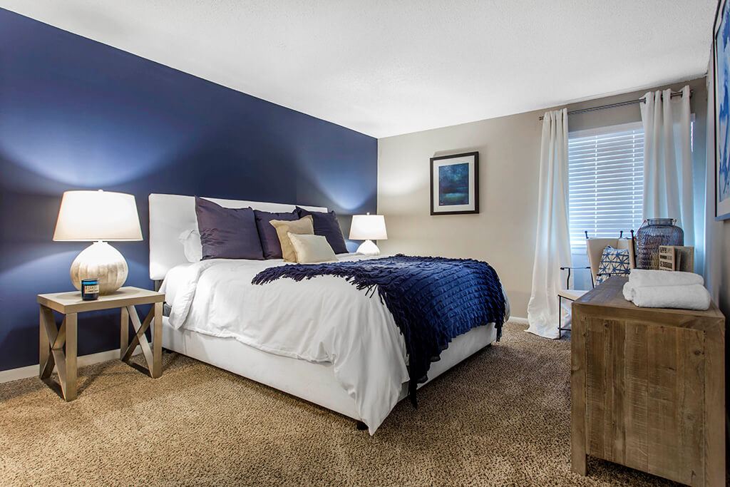 Cobalt Springs Image 5