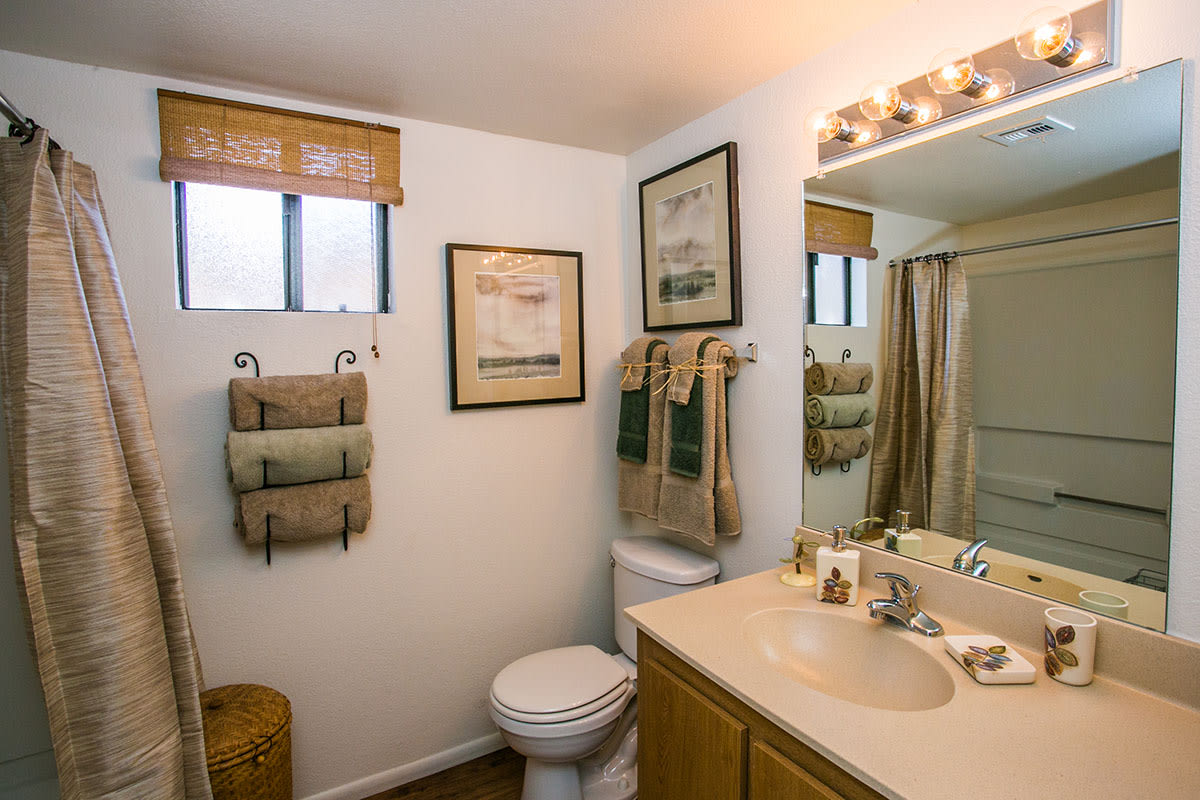 Towne Square Apartment Homes Image 10