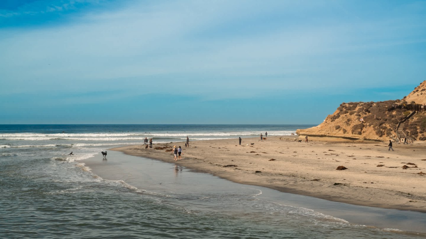 The Village at Del Mar Heights Image 26