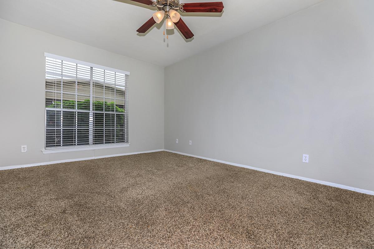 Sawgrass Image 59