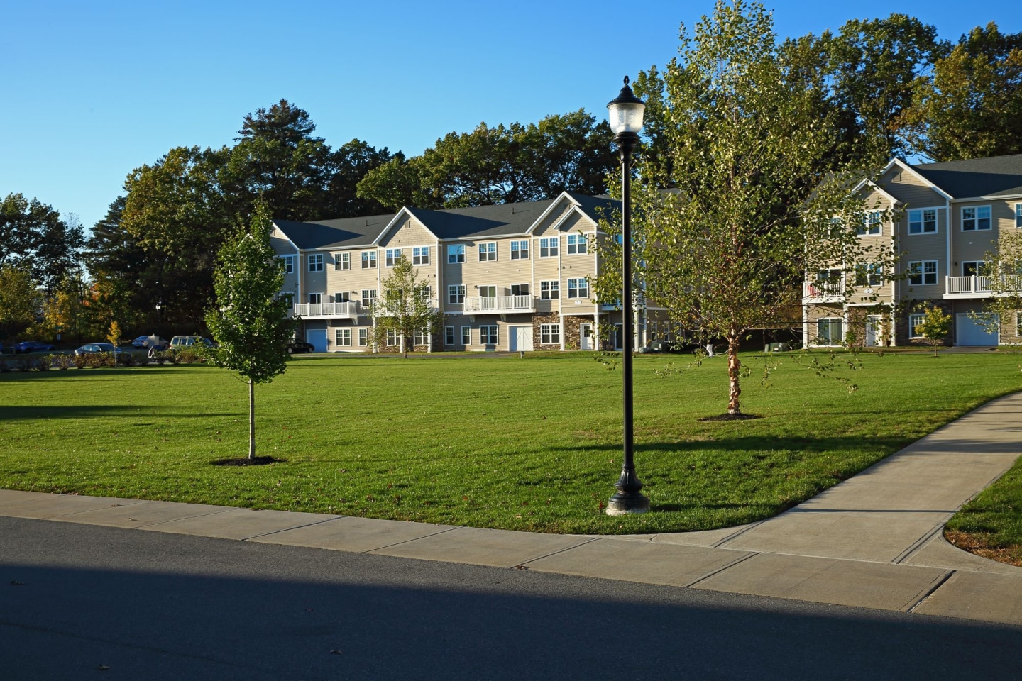 The Springs Image 13