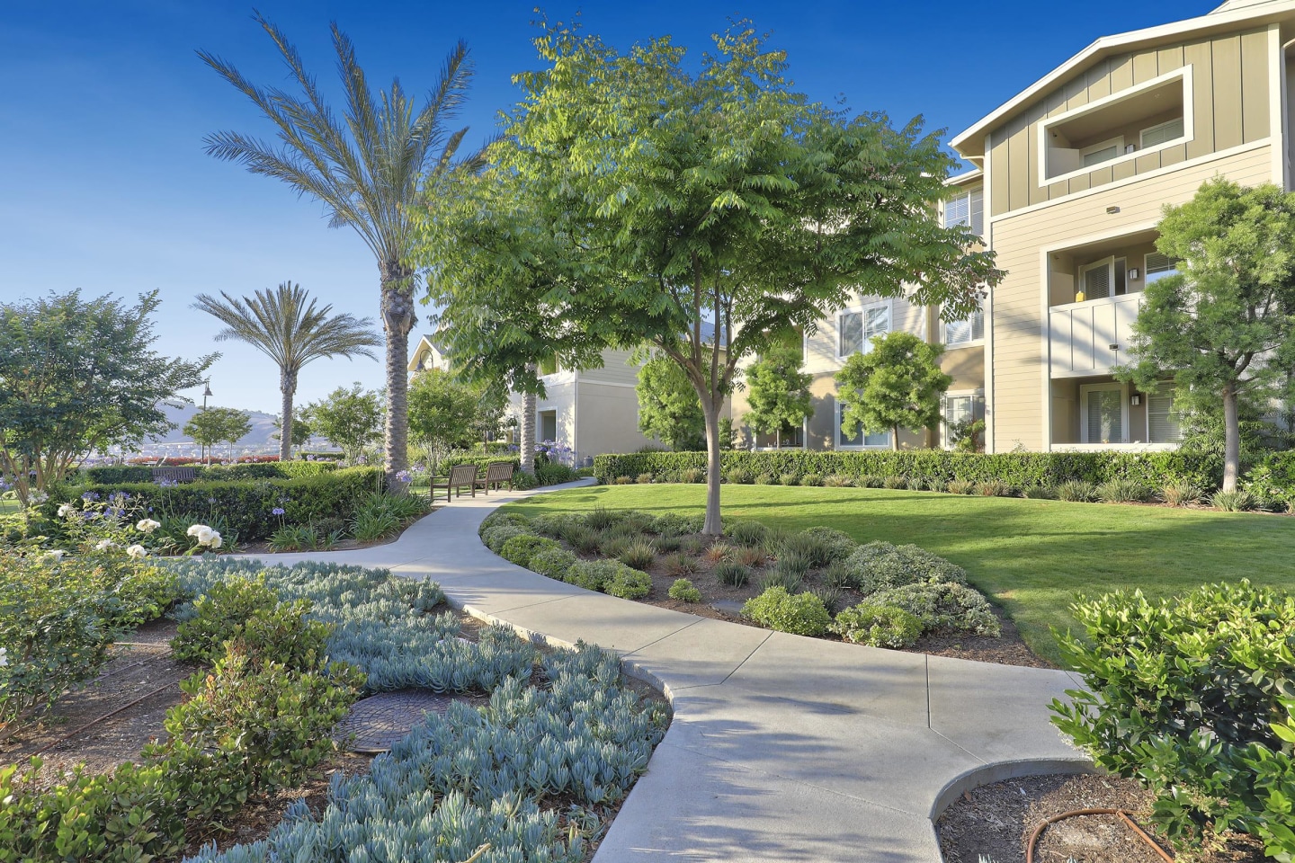 Sendero Gateway Apartment Homes Image 71