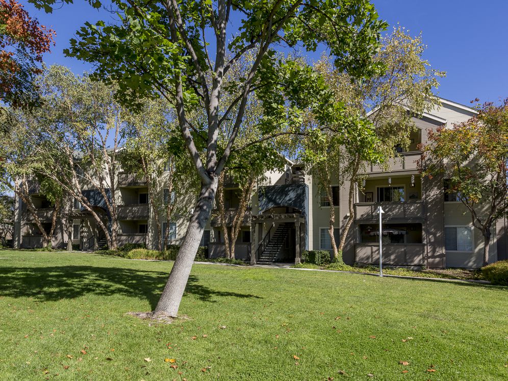 Avalon Campbell Image 31
