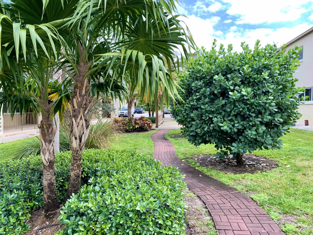 Cynthia Gardens Image 3