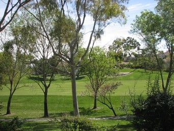 Overlook at Bernardo Heights Image 23