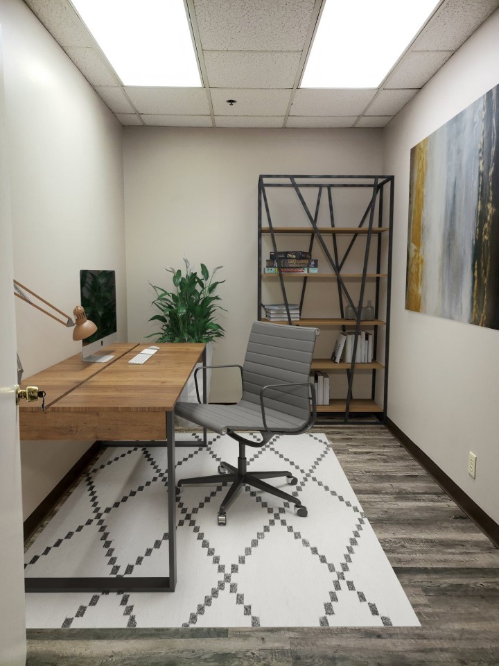Delmar Loop Image 16