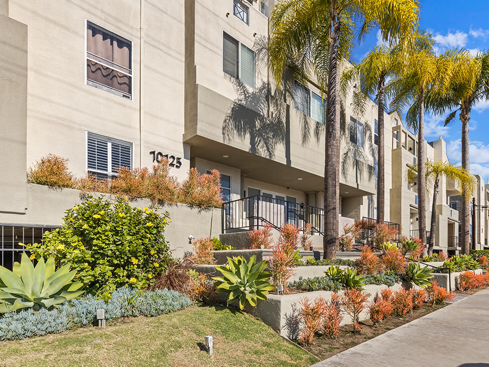 Palms Court Image 25