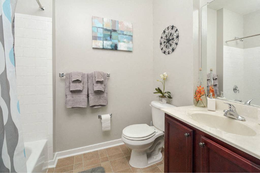 62 ELEVEN Image 4