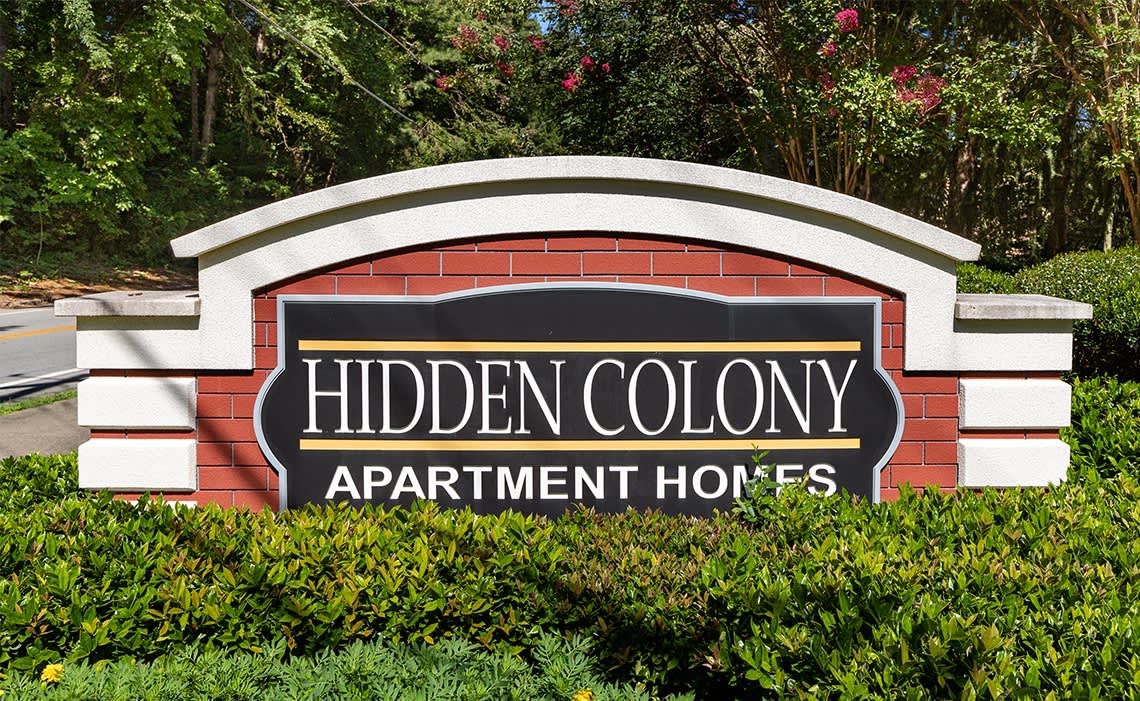 Hidden Colony Image 23