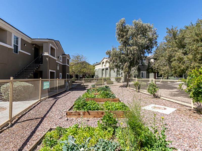 Silver Creek Apartments Image 11