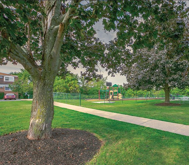 Knollcrest Village Image 3