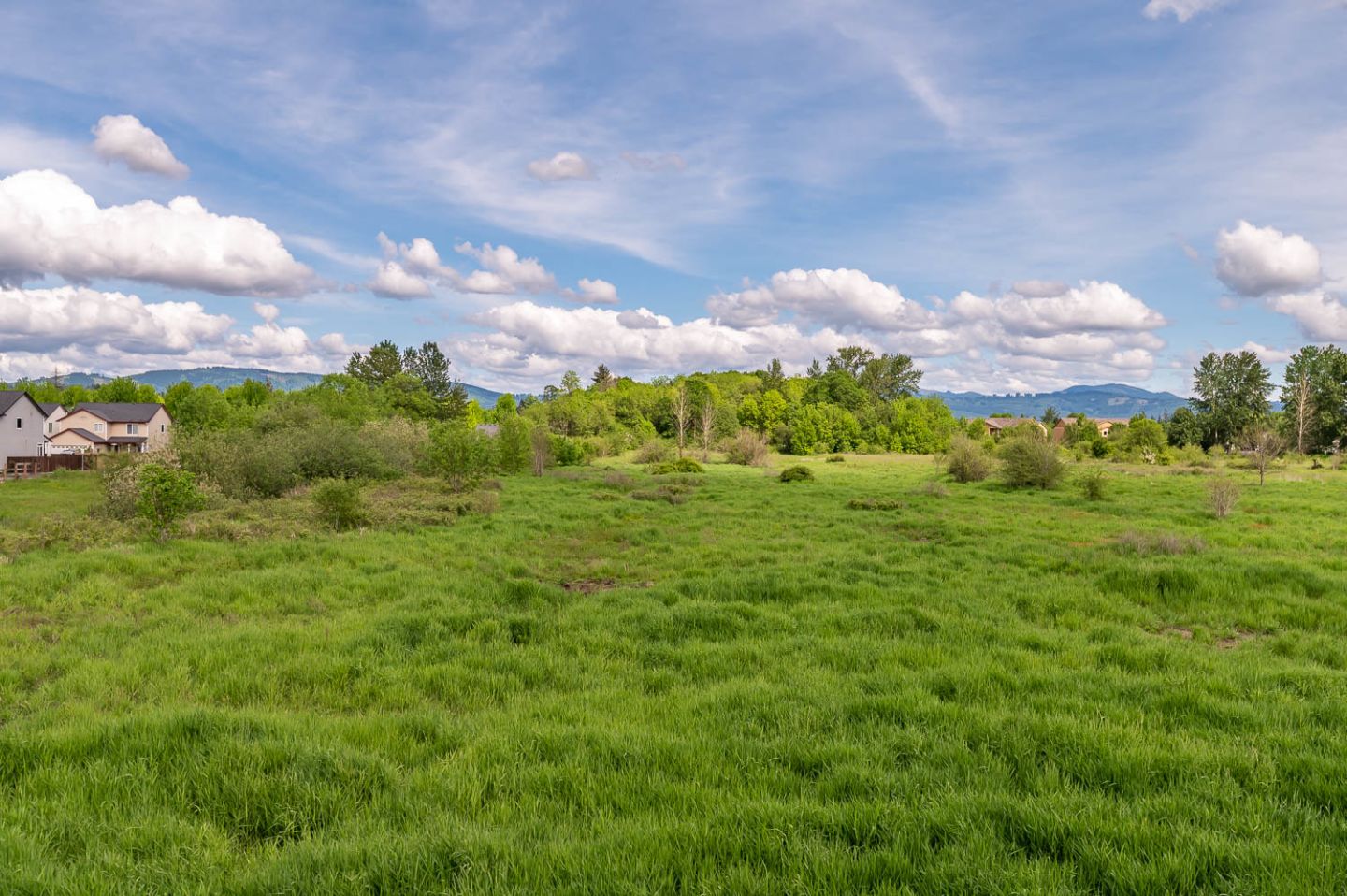 Meadow View Image 18