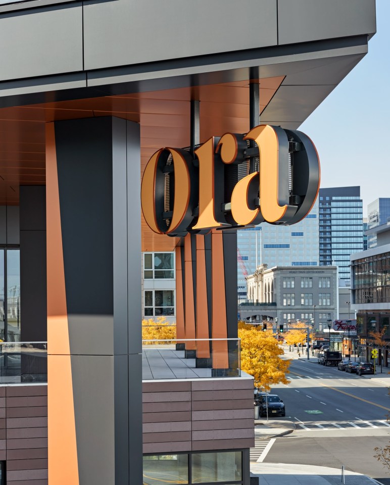 Ora Image 2