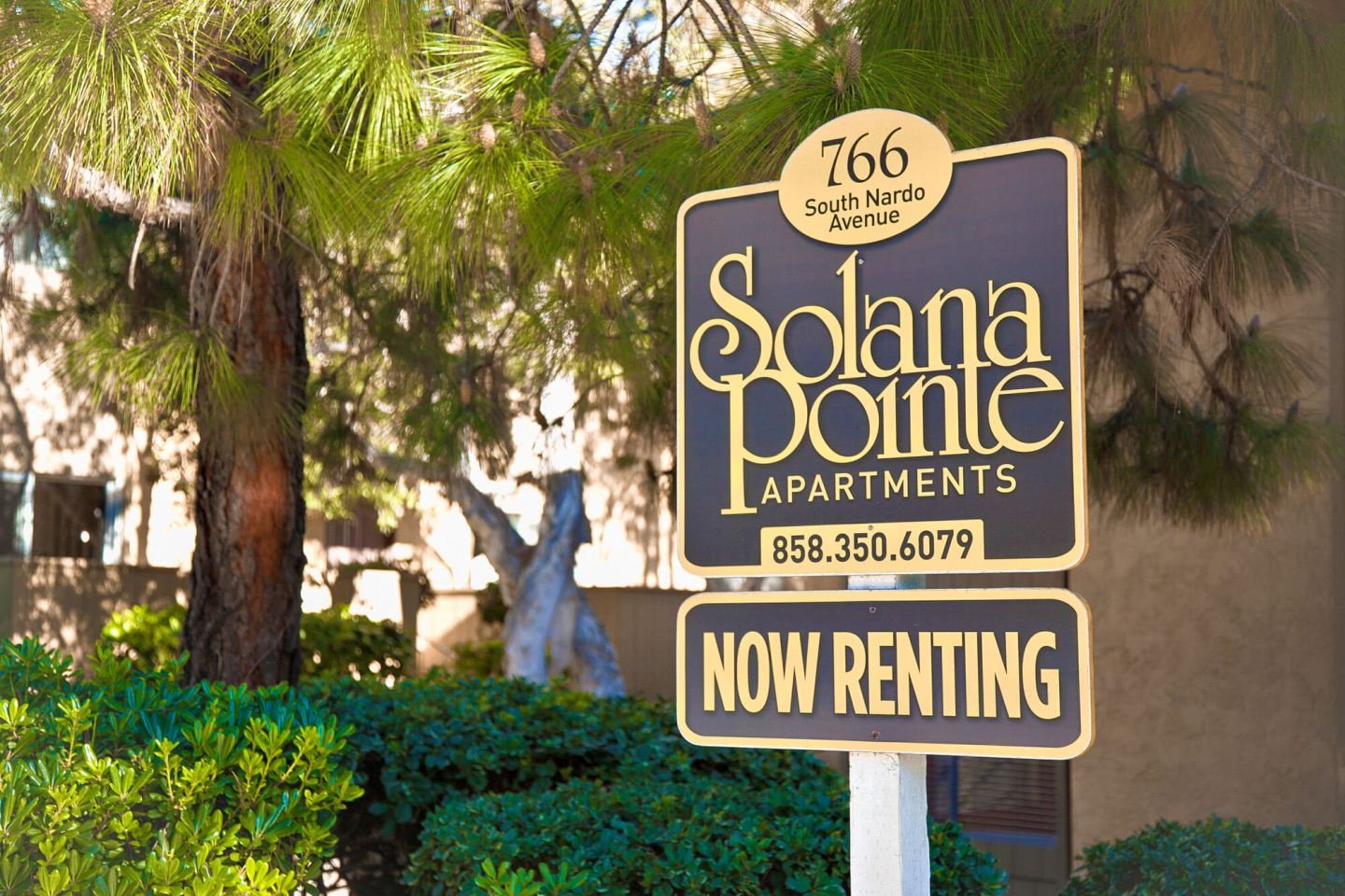 Elán Solana Pointe Image 25