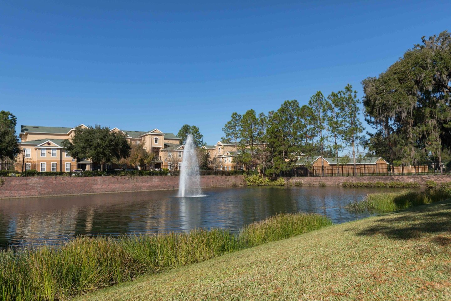 Park at Palazzo Image 2