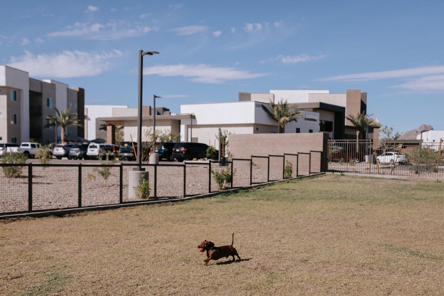 Amavida Marana Image 9
