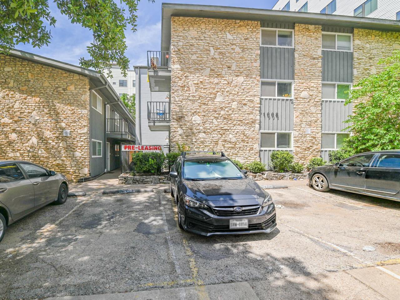 Longhorn at 25th Image 1
