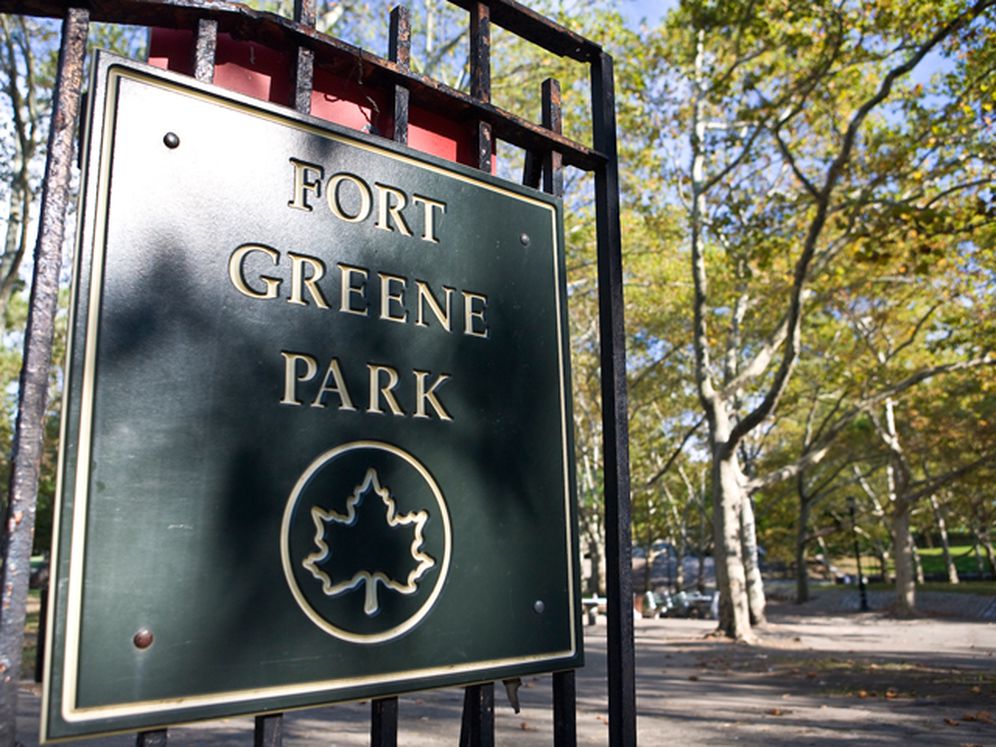 AVA Fort Greene Image 35