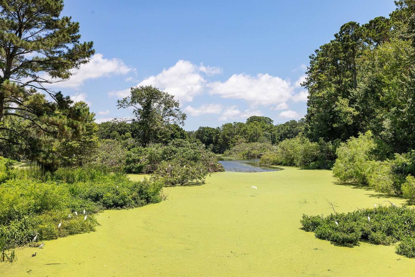 Preserve at Port Royal Image 14