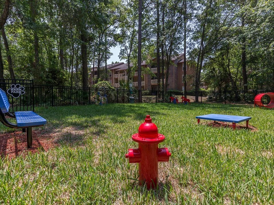 Parkland at Orange Park Image 18