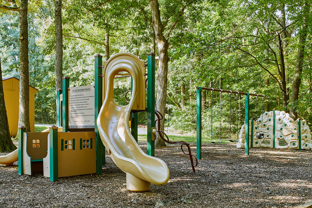 Reston Glade Image 12