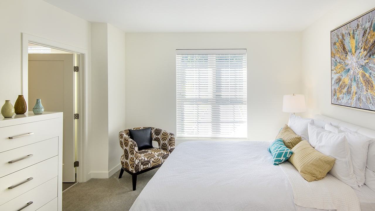 Modera Needham Image 5