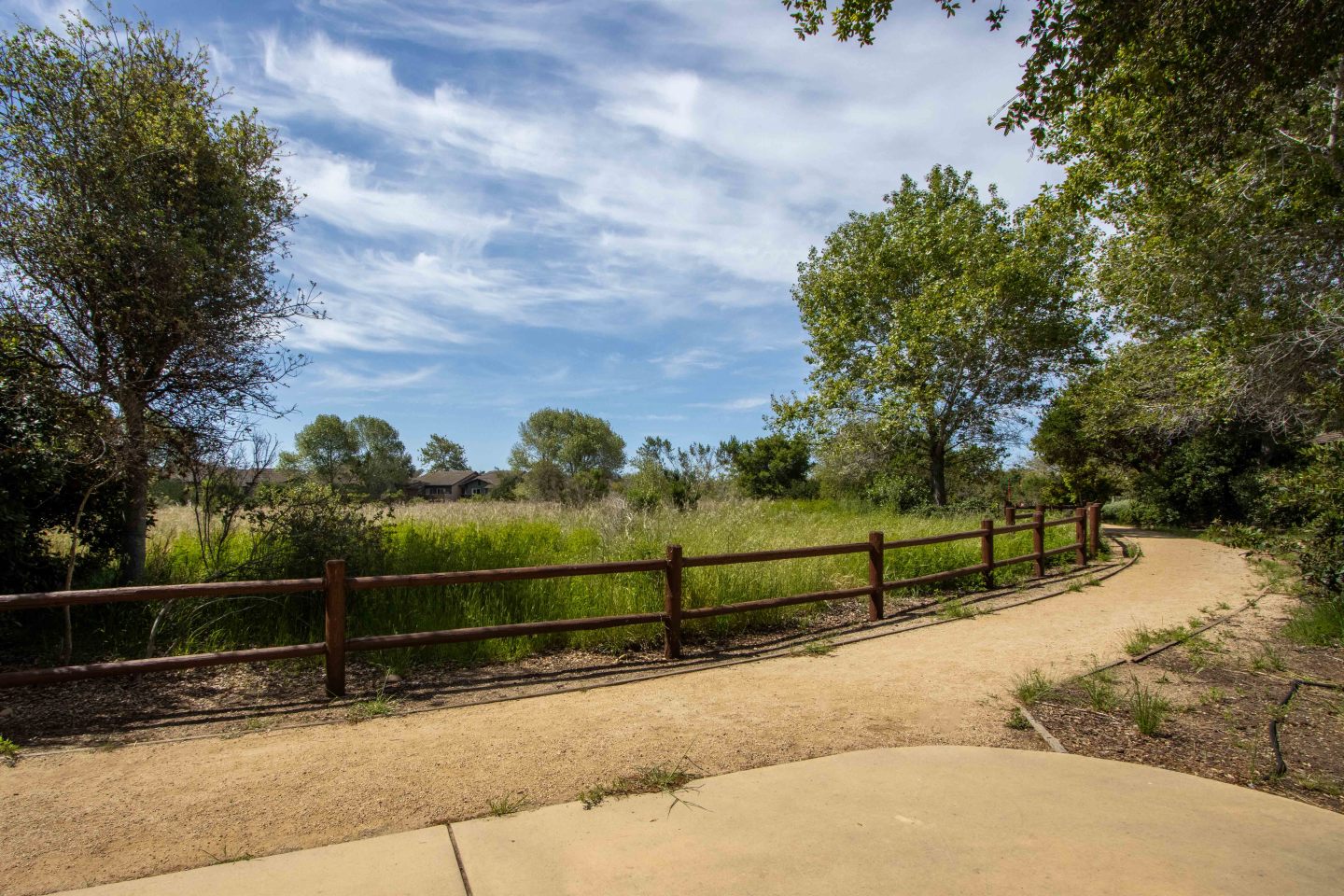 Willow Springs Image 31