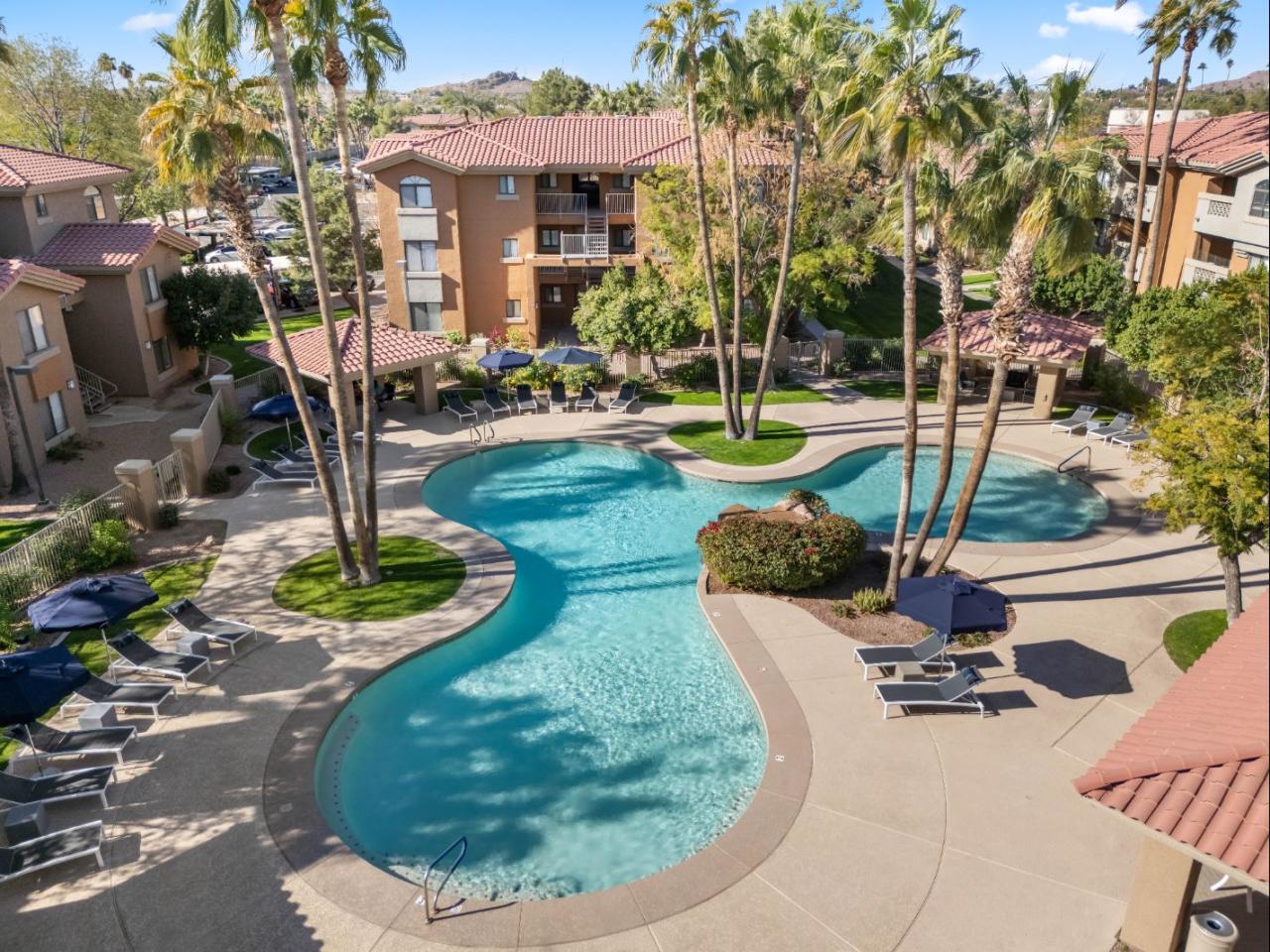 Palms on Scottsdale by Mark-Taylor Image 11