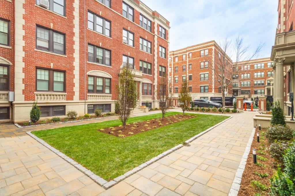 Forest Court Image 2