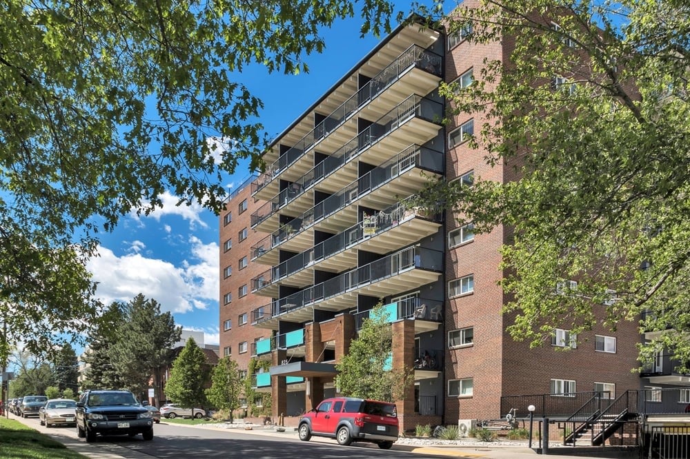 825 Dahlia Image 1
