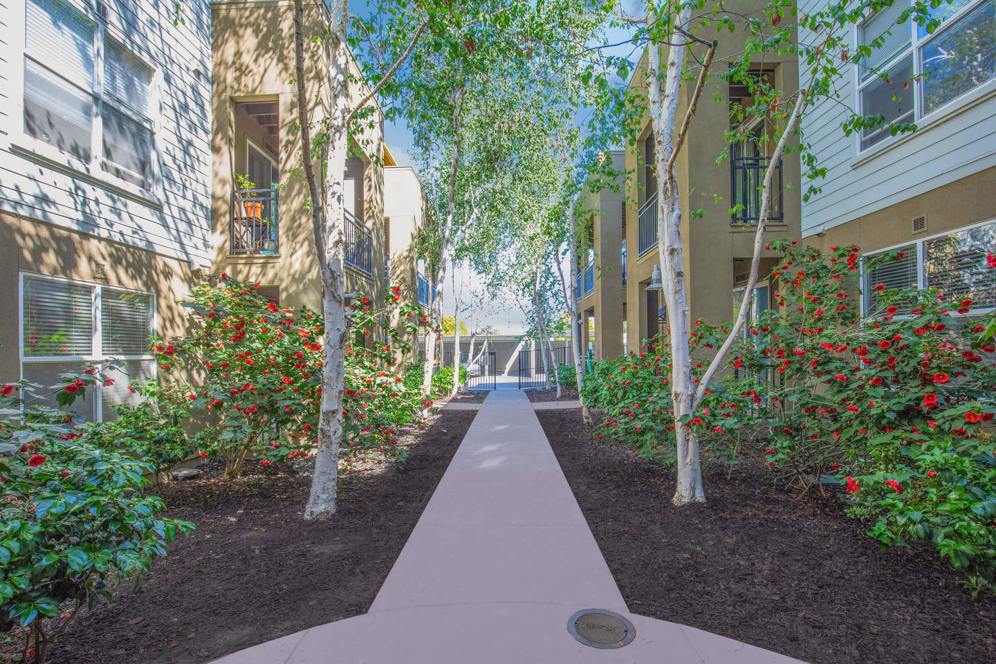 The Village at Town Center Image 15