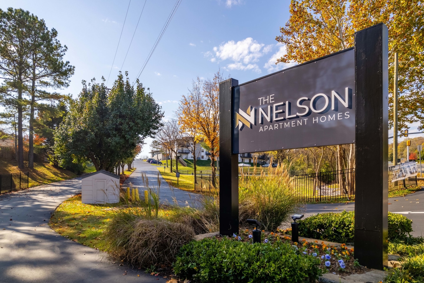 The Nelson Image 29
