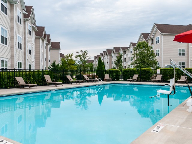 Laurel Green Image 12